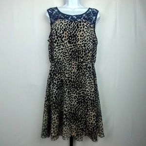 Speed Control New York Cheetah Print Lace Dress